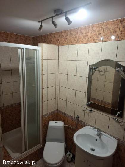 Mieszkanie do wynajęcia