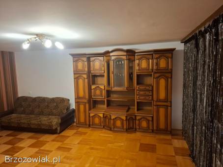 Mieszkanie do wynajęcia