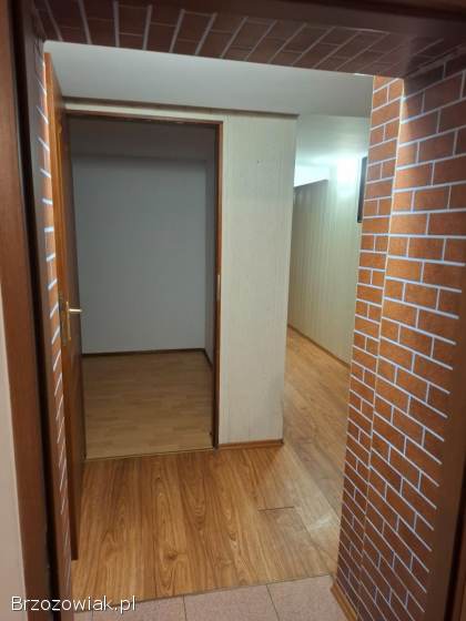 Mieszkanie do wynajęcia