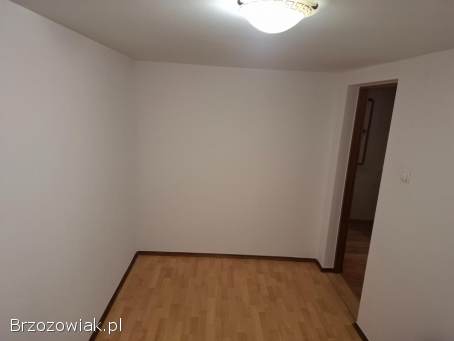 Mieszkanie do wynajęcia
