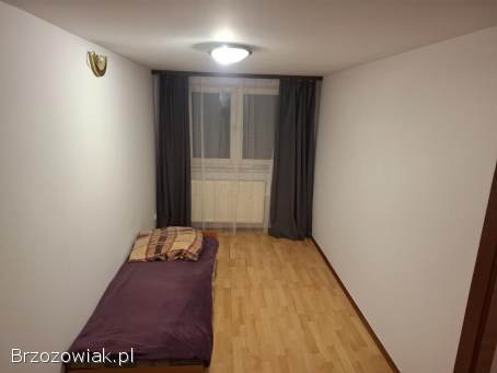 Mieszkanie do wynajęcia