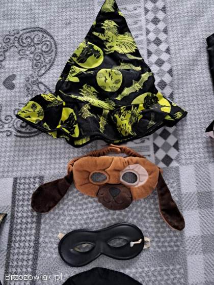 Przebranie karnawałowe