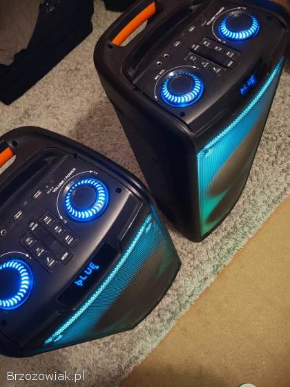 Power audio 2 glosniki