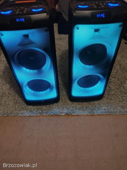 Power audio 2 glosniki