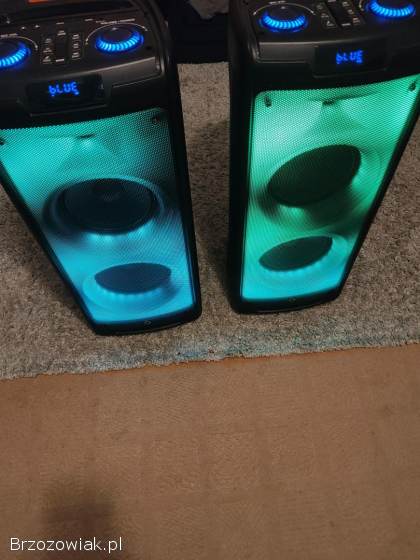 Power audio 2 glosniki