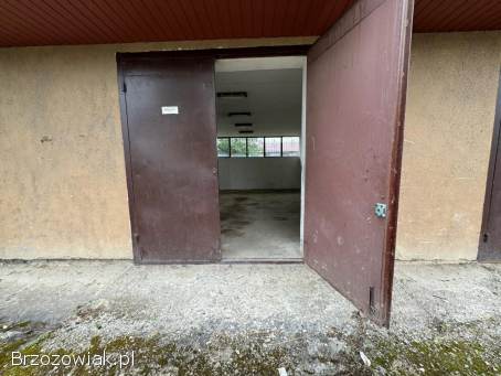 Nieruchomość komercyjna Brzozów / Pow.  działki 1 970 m² budynków 308 m²