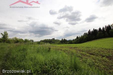 BIURO KROŚNIEŃSKIE NIERUCHOMOŚCI POLECA