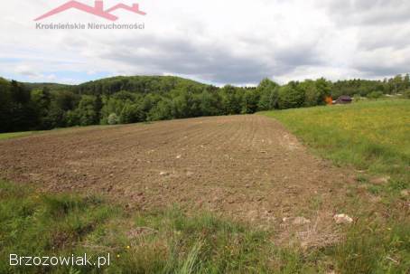 BIURO KROŚNIEŃSKIE NIERUCHOMOŚCI POLECA