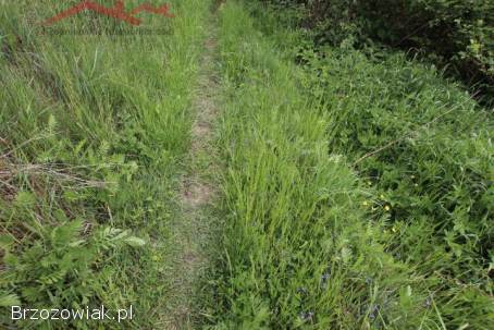 BIURO KROŚNIEŃSKIE NIERUCHOMOŚCI POLECA