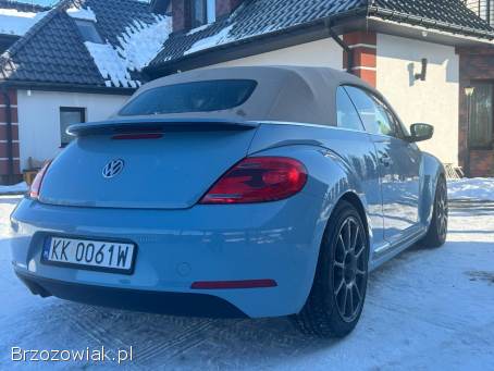 Volkswagen Beetle 2.  0 turbo  2014