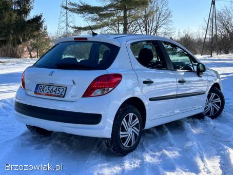 Peugeot 207 Polski Salon 2010