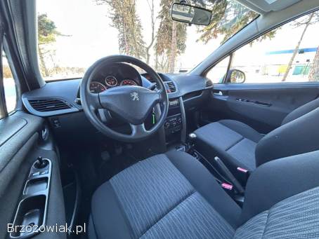 Peugeot 207 Polski Salon 2010