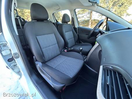 Peugeot 207 Polski Salon 2010