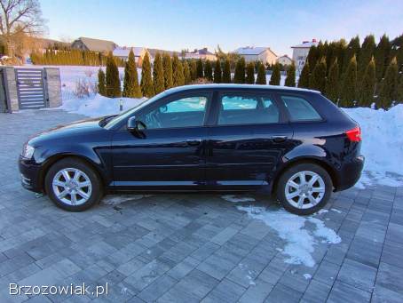 Audi A3 Z Niemiec 102Ps 2011