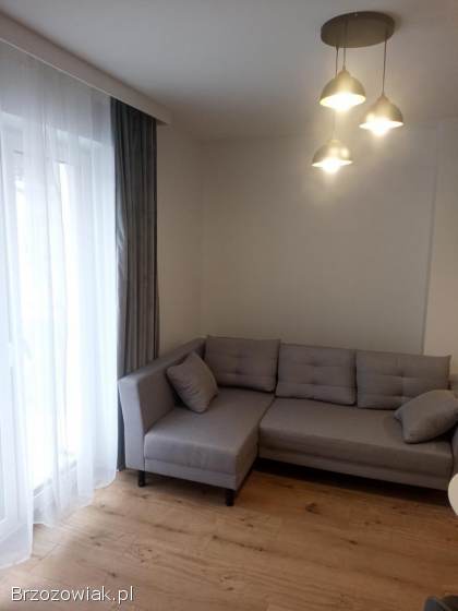 Mieszkanie do wynajęcia