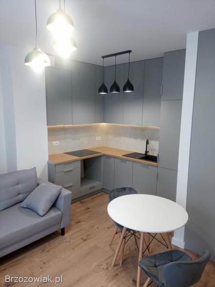 Mieszkanie do wynajęcia