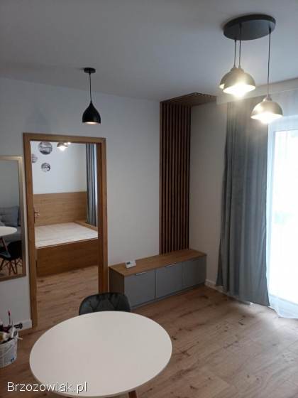 Mieszkanie do wynajęcia