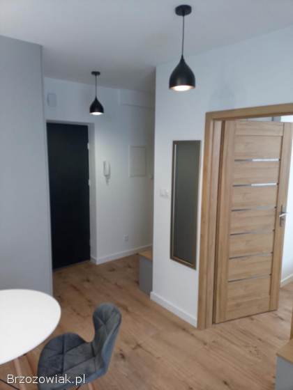 Mieszkanie do wynajęcia