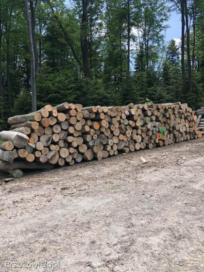 Drewno opałowe,  kominkowe