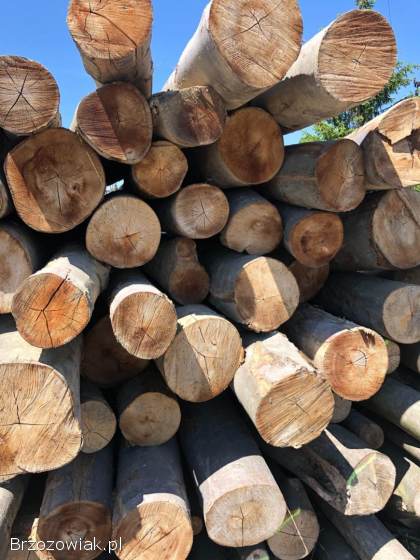 Drewno opałowe,  kominkowe