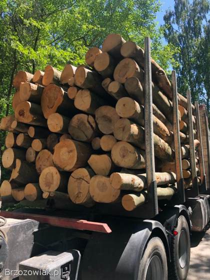 Drewno opałowe,  kominkowe
