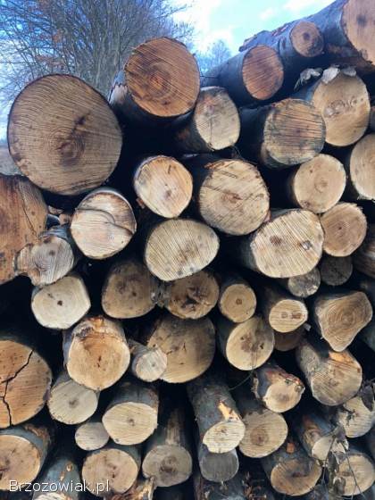 Drewno opałowe,  kominkowe