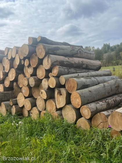 Drewno opałowe,  kominkowe