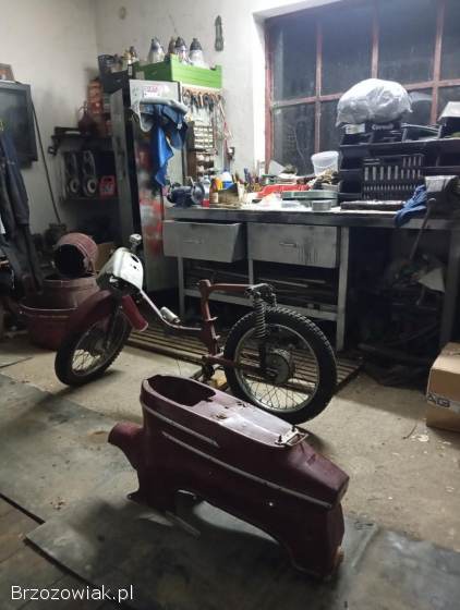 SPRZEDAM JAWE KACZKE W CAŁOŚCI BADZ NA CZĘŚCI