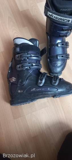 Buty narciarskie NORDICA