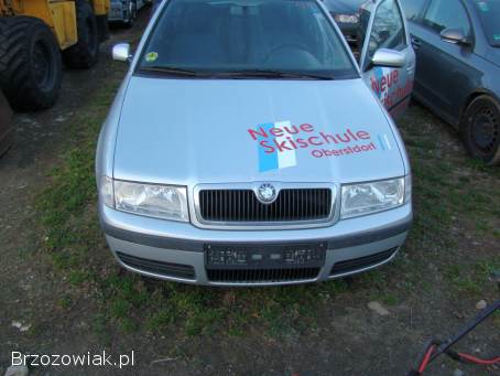 Škoda Octavia 4x4 1.  9 TDI 2001