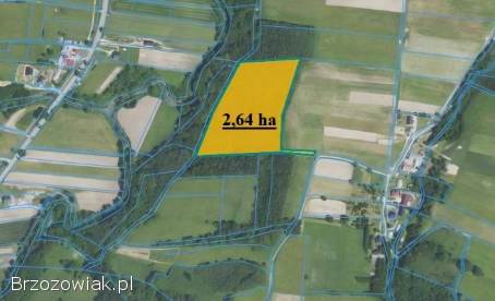 DZIAŁKA W GMINIE BUKOWSKO-WOLICA