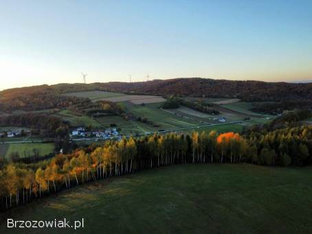 DZIAŁKA W GMINIE BUKOWSKO-WOLICA