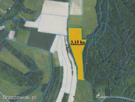 DZIAŁKA W GMINIE BUKOWSKO-WOLICA