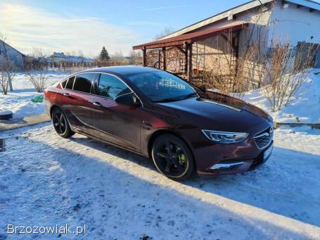 Opel Insignia Polski salon 2017