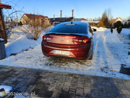Opel Insignia Polski salon 2017