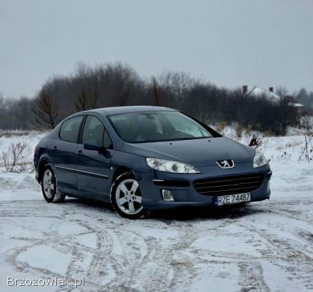 Peugeot 407 2005