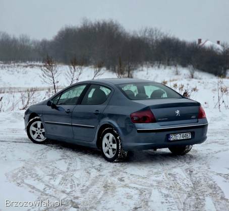 Peugeot 407 2005