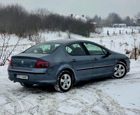 Peugeot 407 2005