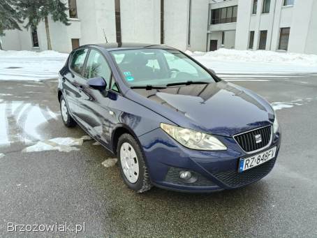 Seat Ibiza Stan bdb 2009