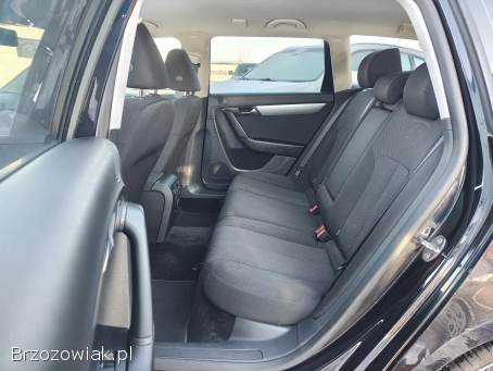 Volkswagen Passat Zadbany!   2013