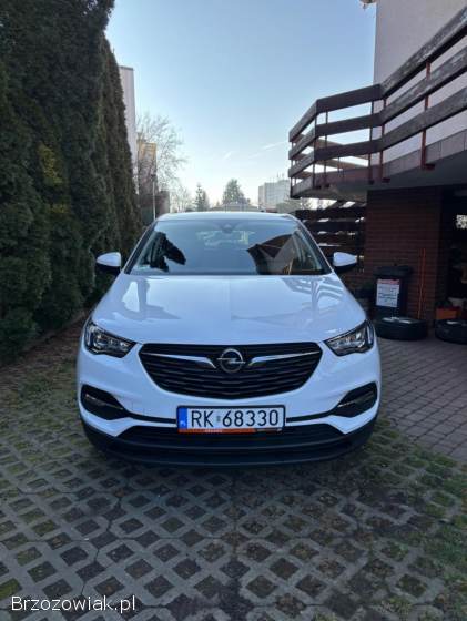 Opel Grandland X 2020