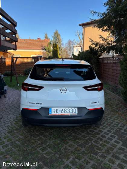 Opel Grandland X 2020