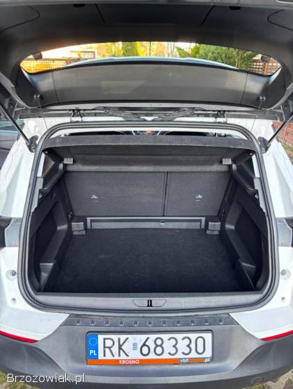 Opel Grandland X 2020