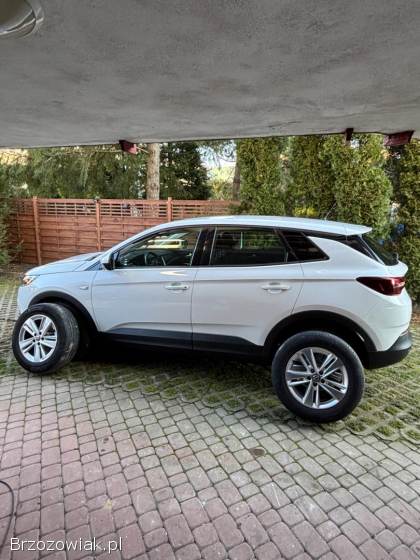 Opel Grandland X 2020