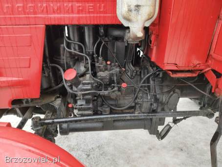 Wladymirec t25 zarejestrowany