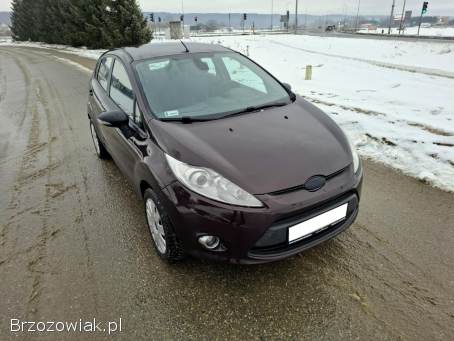 Ford Fiesta MK7 Klima 5Drzwi 2010