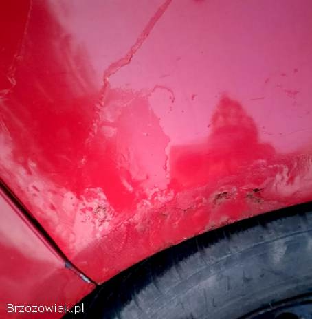 Volkswagen Golf Plus Trendline 2005