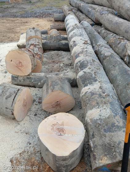 Drewno Opałowe