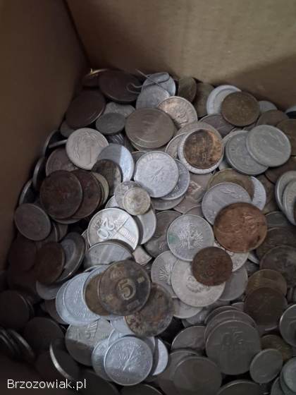 6,  5 kg różnych monet