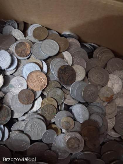 6,  5 kg różnych monet
